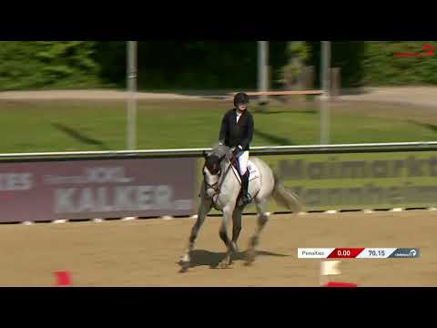 Checkter - Finalqualifikation DeutschlandsU25 Springpokal in Mannheim
