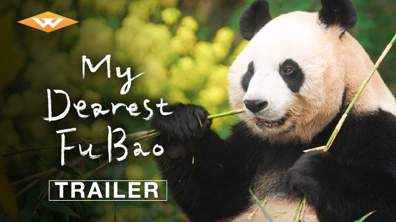 Official Trailer [Subtitled]