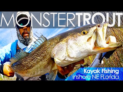 Catch HUGE TROUT in Winter! Secret Tactics Revealed for Monster Sea Trout