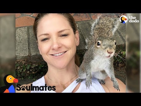 download lagu mp3 mp4 The Rabbit And The Squirrel A Love Story About Friendship, download lagu The Rabbit And The Squirrel A Love Story About Friendship gratis, unduh video klip The Rabbit And The Squirrel A Love Story About Friendship