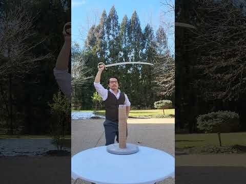 British 1796 vs French 1800 saber #history #cosplay #hema #sword