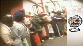 Zimbabwe's Descent into Anarchy