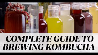 Ultimate *Updated* Guide to Homemade Kombucha (1st and 2nd Fermentation)