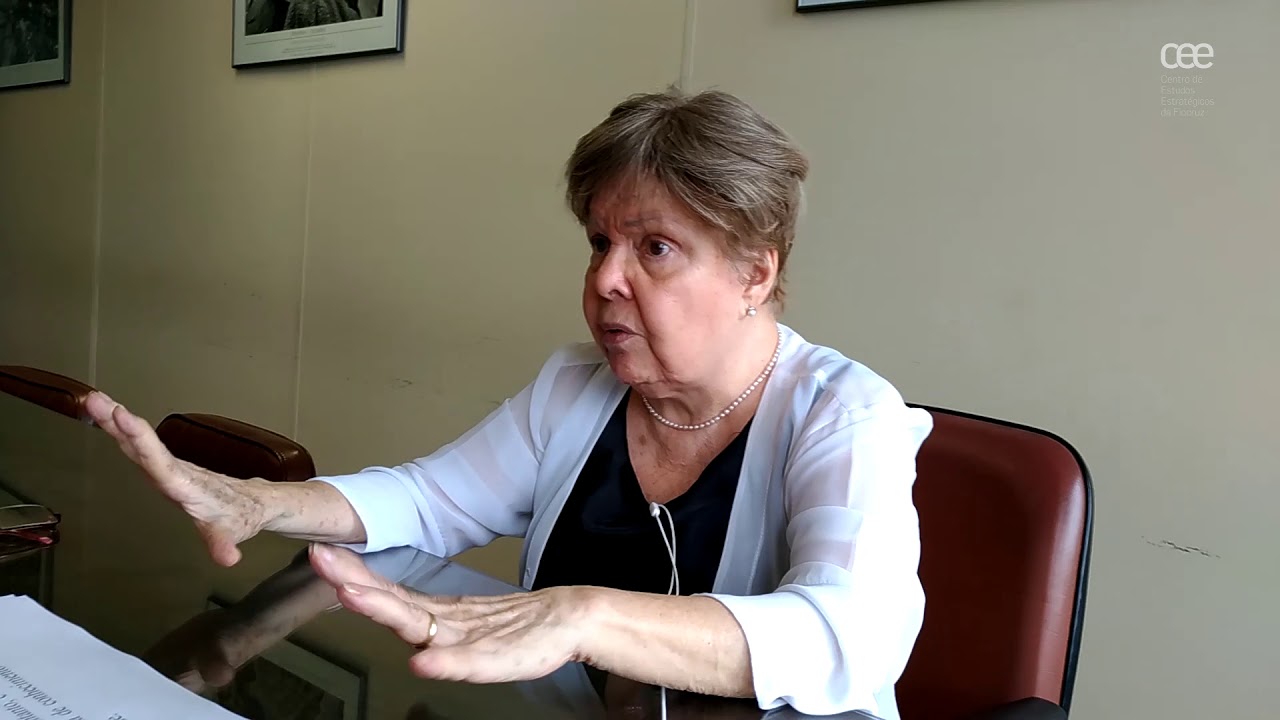 Maria Cecília Minayo - violência no Brasil