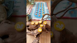 This 2 Player Board Game Was Lost in Time… 🌵🏜️🦂🐍☀️ #boardgames #tabletopgaming #gamenight
