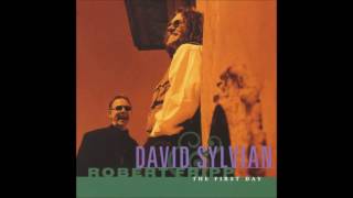 David Sylvian &amp; Robert Fripp  -  God`s Monkey
