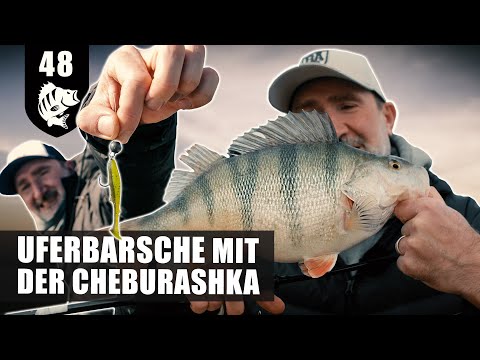 VOLL AM BARSCH - die CHEBU regelt mal wieder