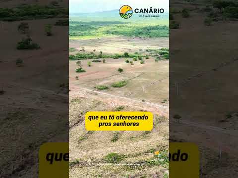 Terra boa e barata #fazendaavenda #agro #agricultura #tocantins #farming #shorts #pecuaria #rural