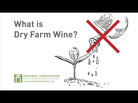 Dry Farm Wine