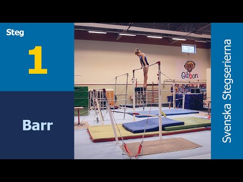Barr - Steg 1
