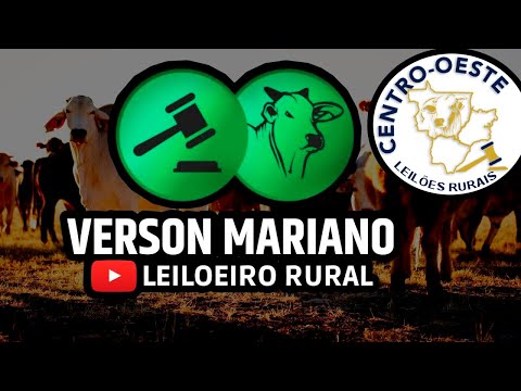 CENTRO-OESTE LEILÕES RURAIS- JARAGUÁ - GO - ARREMATE