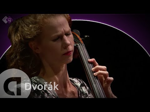 Dvořák: String Sextet in A major, Op. 48 - Harriet Krijgh & Friends - Live Classical Concert HD