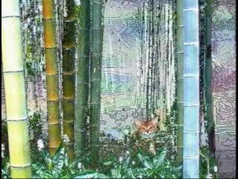 The Coppercat - 51st Candle