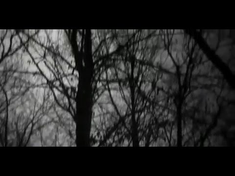 INFERNO79 - DSD aka IMS23 - TINITUS : WERWOLF