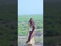Tumse Milke Dil Ka Bollywoodsongs Bollywood Hindisong Music 90severgreen 90ssongs