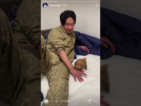 きなことじゃれる朝倉未来
