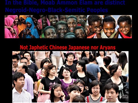 The Bible show Moab & Ammon & Elam are not Chinese Japanese, But Negro-Negroid-Black-Semitic peoples