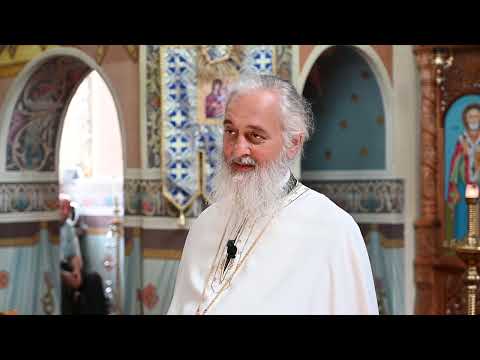 Arhim. Dumitru Cobzaru - Nunta de Aur, Magdalena și Ioan Ardelean, Șomcutu Mic, Cluj