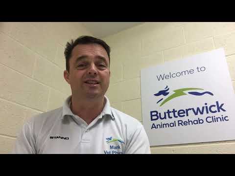 Meet Mark – Butterwick Animal Rehab Clinic