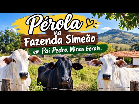 Pérola na Fazenda Simiaō em Pai Pedro Minas Gerais 