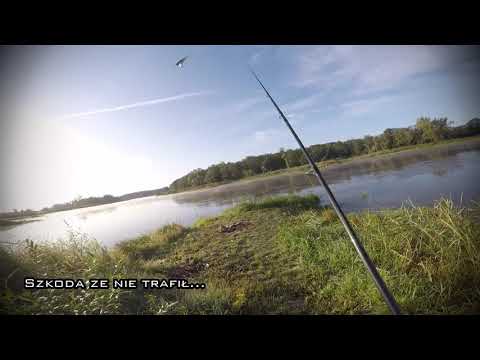 Odra | spinning | Wędkarstwo | Atak pięknej ryby! | FULL HD (1080p)