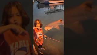 Download lagu Terlalu berani ‼️ bocah ini mencoba mancing hiu 😱 #megalodon  #mancing #shots mp3