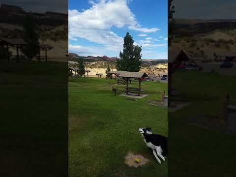The video shows the main campground/grassy area with the beautiful desert behind. 