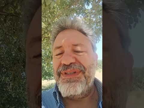 Il Miracle tour, John Deacon e il nuovo Innuendo secondo Chatgpt