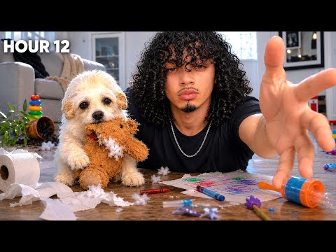 I Became The Worst DOG SITTER For 24 HOURS