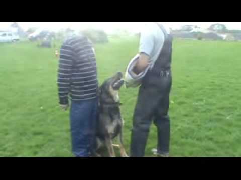 Athos Vilaré Great Lady - protection - 5/2011