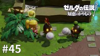 ゼルダの伝説 知恵のかりもの #45【それ本当に食べて良いやつですか...？】