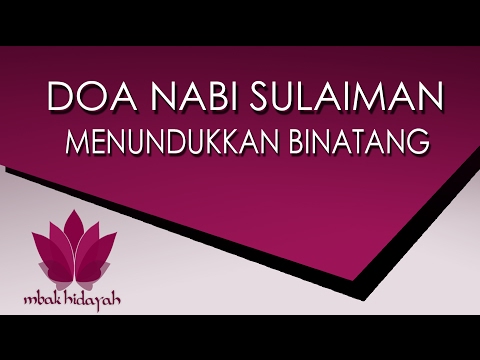 Matahari untuk potensi Yang secara efektif mengembalikan potensi