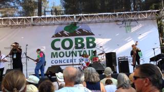 ELVIN BISHOP LIVE -   HEY BOB A REBOP AUGUST 17, 2014