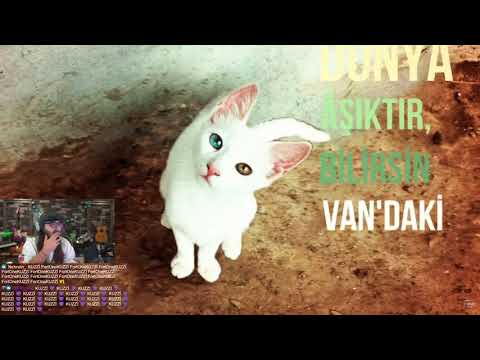 Kendine Müzisyen HAYKİ B1R Dinliyor