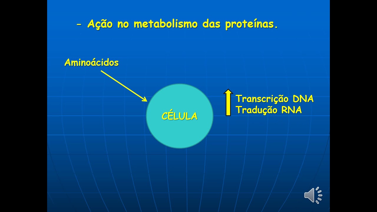 Sistema Endócrino Hipotálamo Adenohipófise