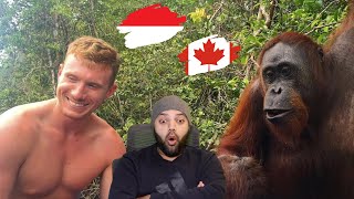 Download lagu SLAPPED BY AN ORANGUTAN IN INDONESIA!!! 🦧🇮🇩 Reaction | MR Halal Reacts mp3