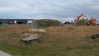 preview picture of video 'Fårö - at Kalbjerga'