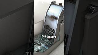 How Wastewater is treated