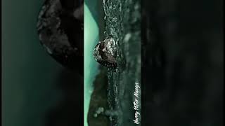 Download lagu Harry Potter || When it's all over mp3