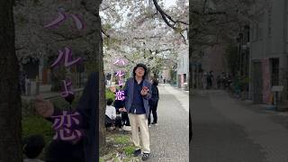 ♪ハルよ恋 - Spring brings love