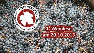 preview picture of video 'Weinlese 2013'