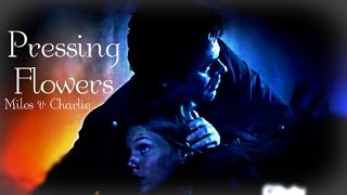 Charlie and Miles || Pressing Flowers