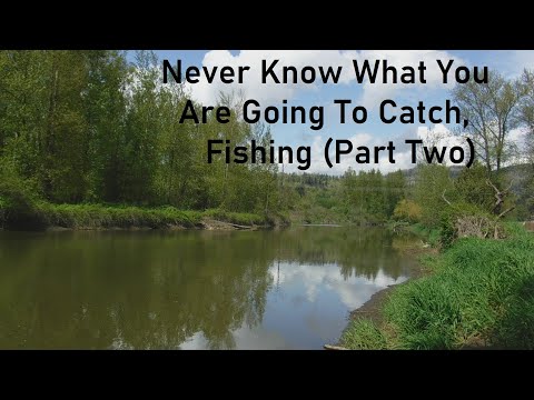 Never Know What you are going to Catch, Fishing (Part Two)