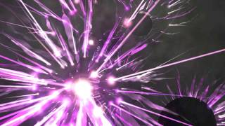 Life Of Pi 19: Flying Fish