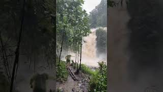 Download lagu Mae Wang #waterfall #travel #thailand mp3 Download lagu Mae Wang #waterfall #travel #thailand mp3