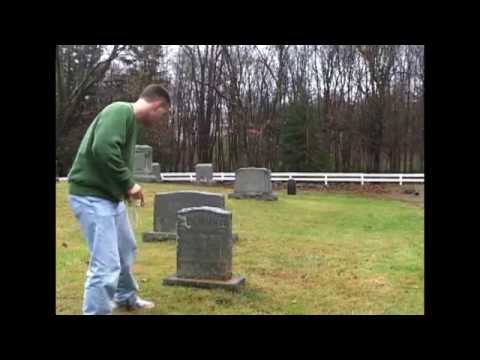 Lassie Came Home Alone