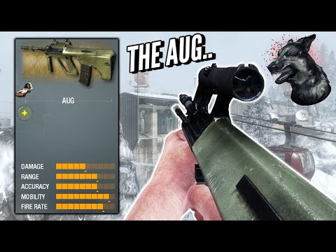 Remember The AUG From Black Ops 1...?