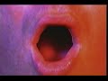 Opening To Rush Hour 2001 VHS 2002 Reprint
