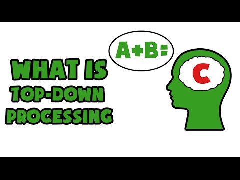 image-What is a real life example of top-down processing?