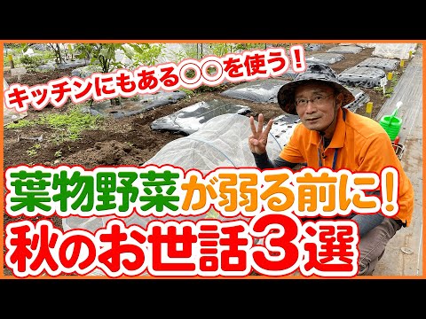 プランター内の湿度を長期間保つ